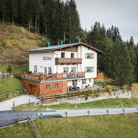 Ferienhaus Olpererblick-3